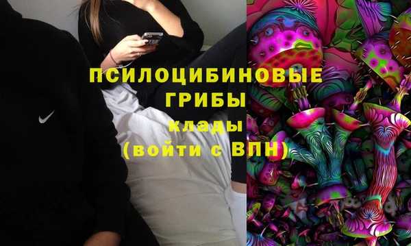 прущие грибы Аркадак