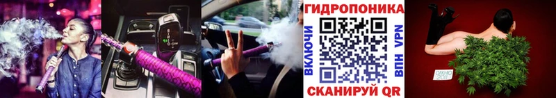 Шишки марихуана планчик  цена   Гай 